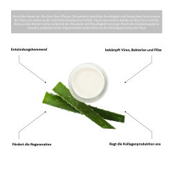 Dodena Fl&uuml;ssigseife mit Aloe Vera &amp; Granatapfel, pH-Neutral, Bio &amp; Vegan 300ml