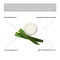 Dodena Flüssigseife mit Aloe Vera & Granatapfel - SULFATFREI, pH-Neutral, Bio & Vegan 300ml