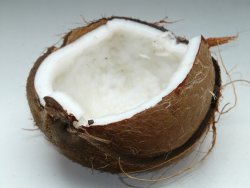 Seifenduft Kokosnuss 50 ml 