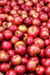 Seifenduft Apfel 50 ml